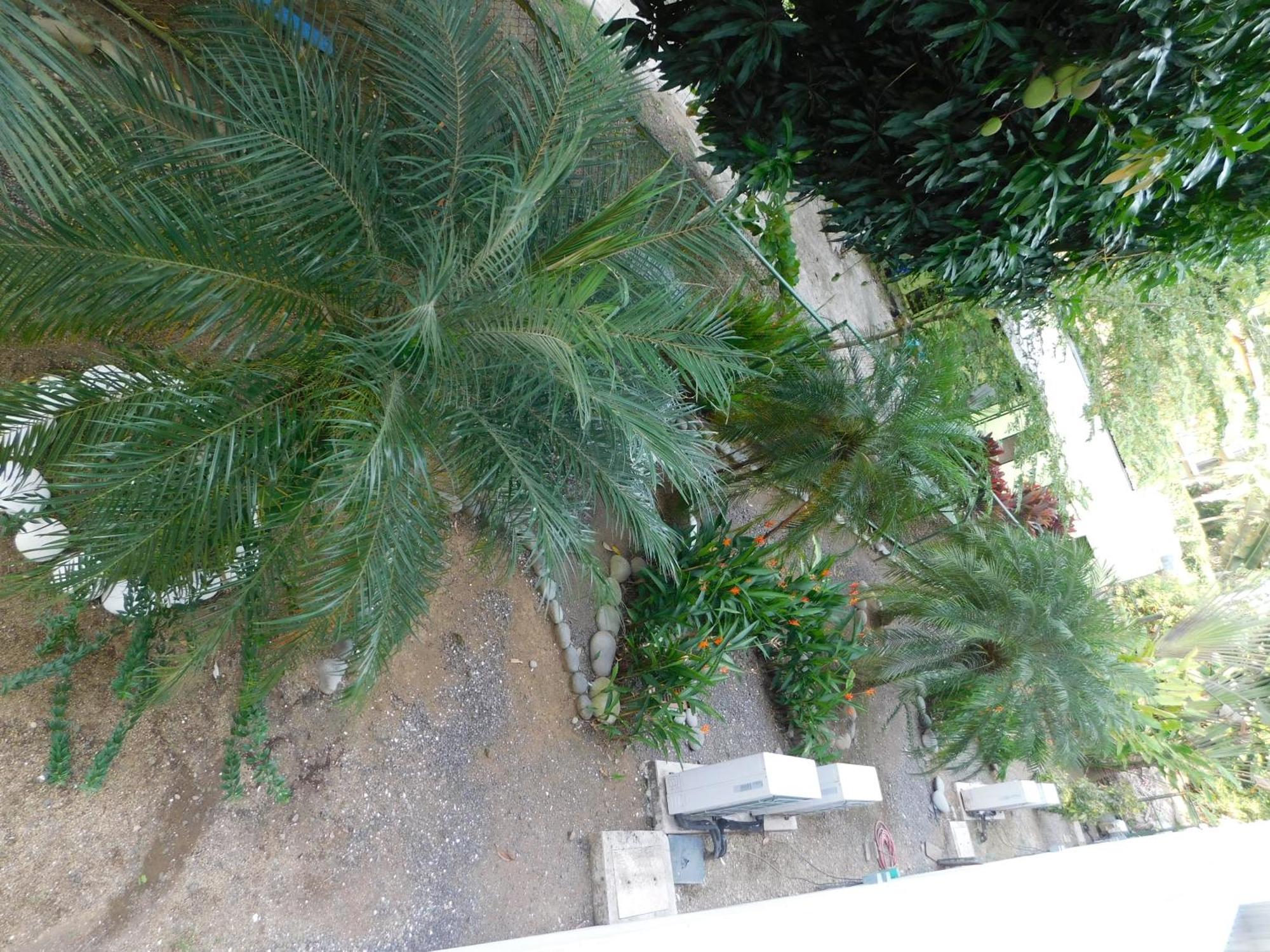 Sunset 205, Sleeps Six, Next Door To The Pool, 100M To The Beach! جاكو المظهر الخارجي الصورة
